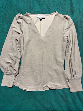 Alex & Parker Women's Shimmer V-Neck Blouse Gray Small Like New